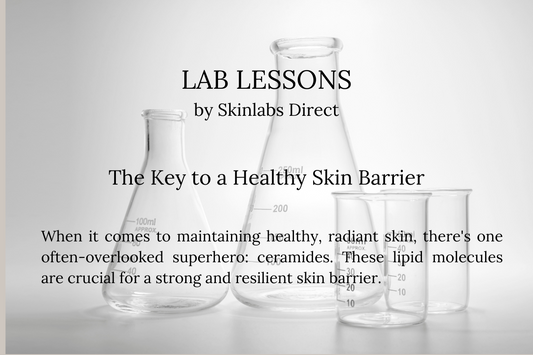 The Key to a Healthy Skin Barrier